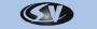 Signal Vision