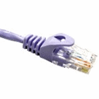 Cat6 UTP 550 MHz Snagless Ethernet Patch Cable 10 Feet Purple