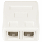 Dual Port Keystone Surface Mount Jack