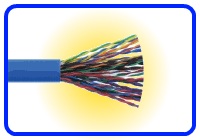 CAT5E 25 Pair Cable