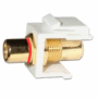 RCA to RCA Red Female Keystone Jack Insert White